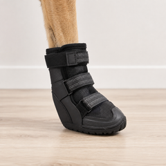 Conventional Indoor Boots